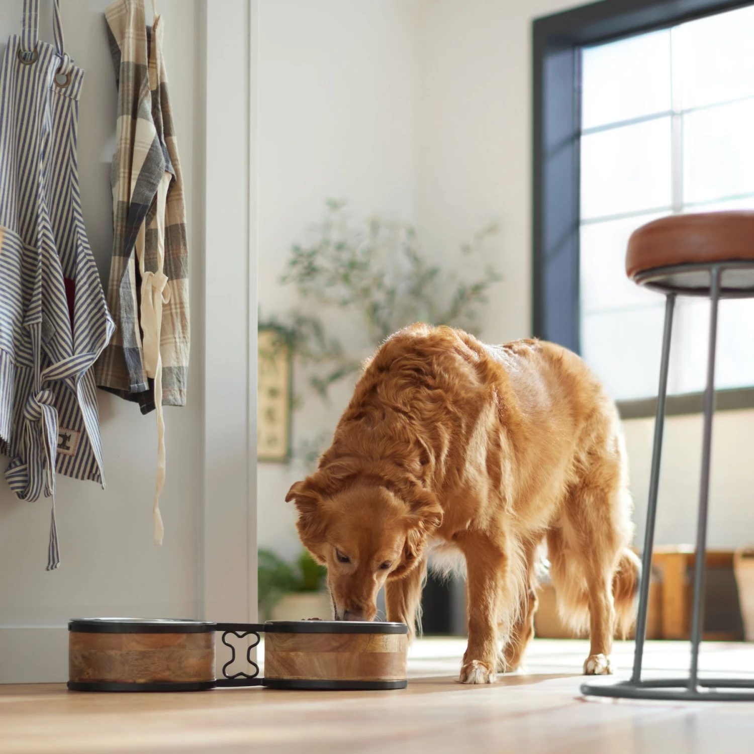 Frisco Premium Elevated Bone Design Stainless Steel Double Diner Dog & Cat Bowl - Image 3