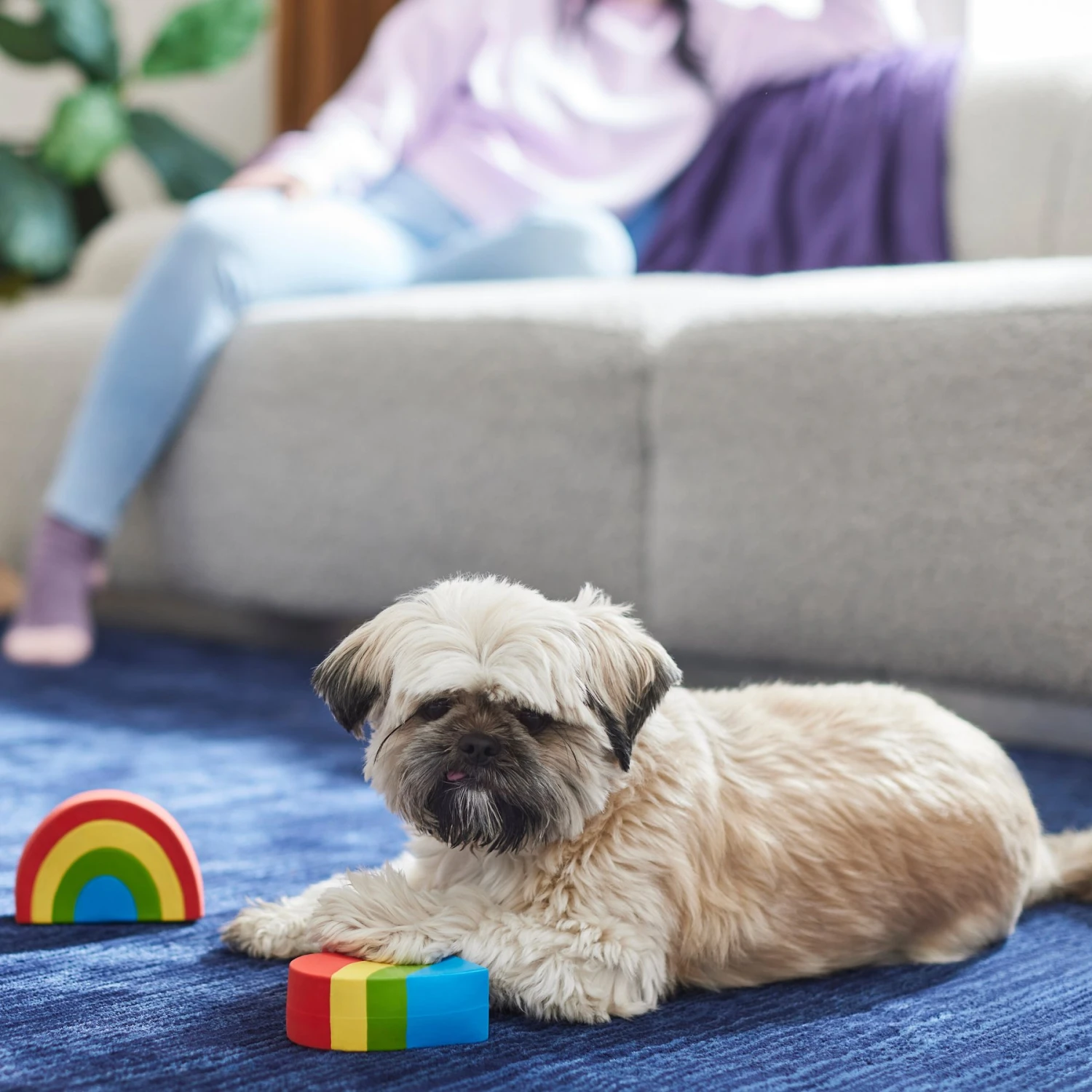 Frisco Pride Rainbow & Heart Latex Squeaky Dog Toy, 2 Count - Image 3