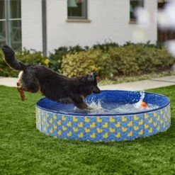 Frisco Outdoor Dog Swimming Pool, Rubber Ducky