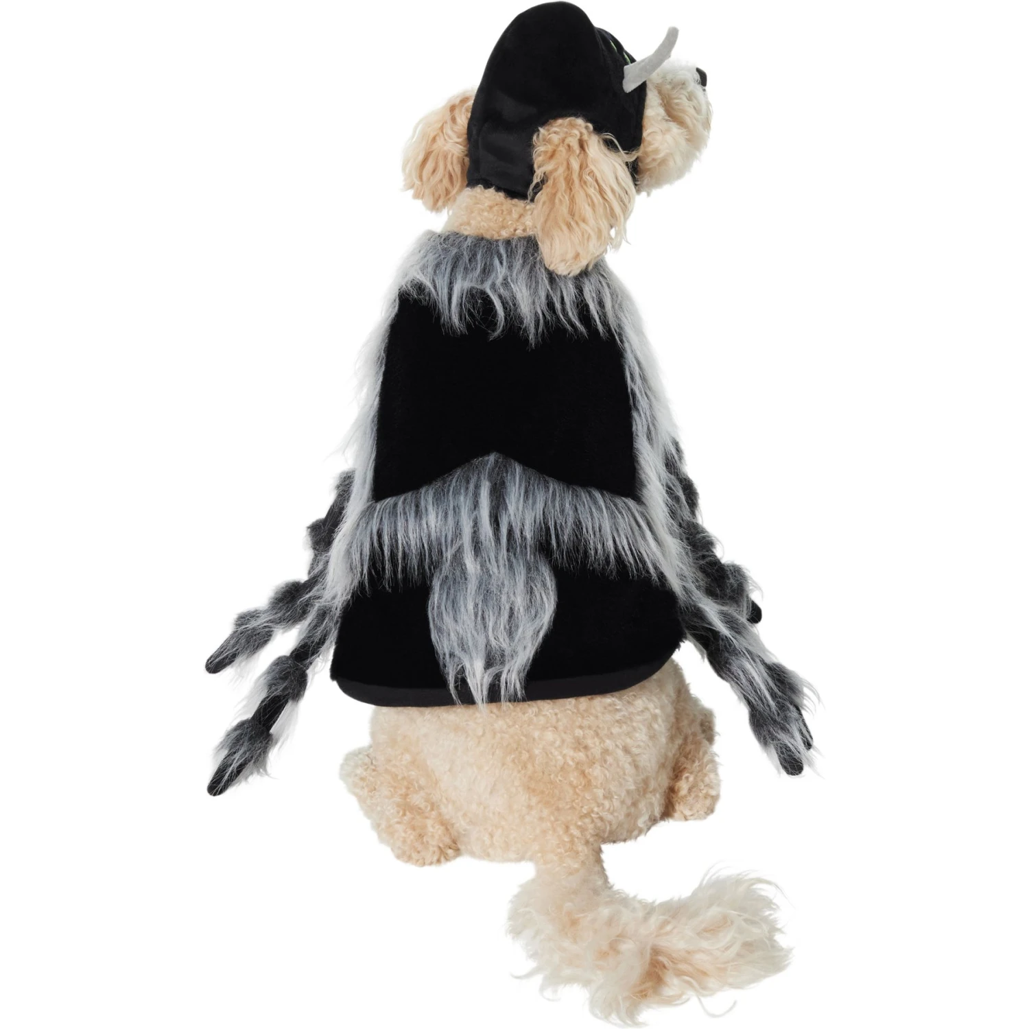 Frisco Spider Dog & Cat Costume - Image 3
