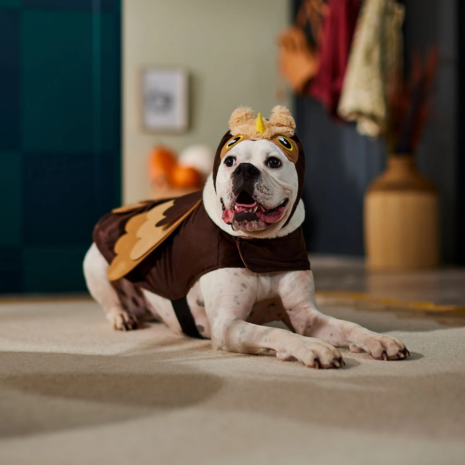 Frisco Owl Dog & Cat Costume - Image 6