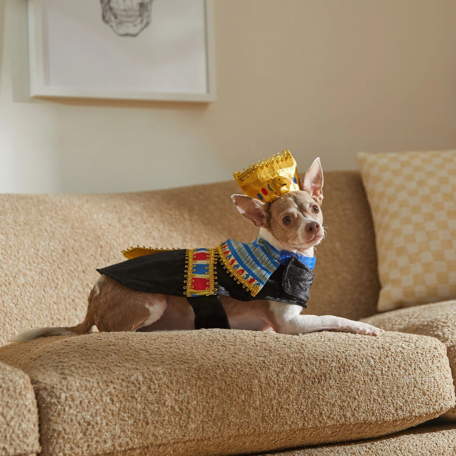 Frisco Royal Pharoah Dog & Cat Costume - Image 7