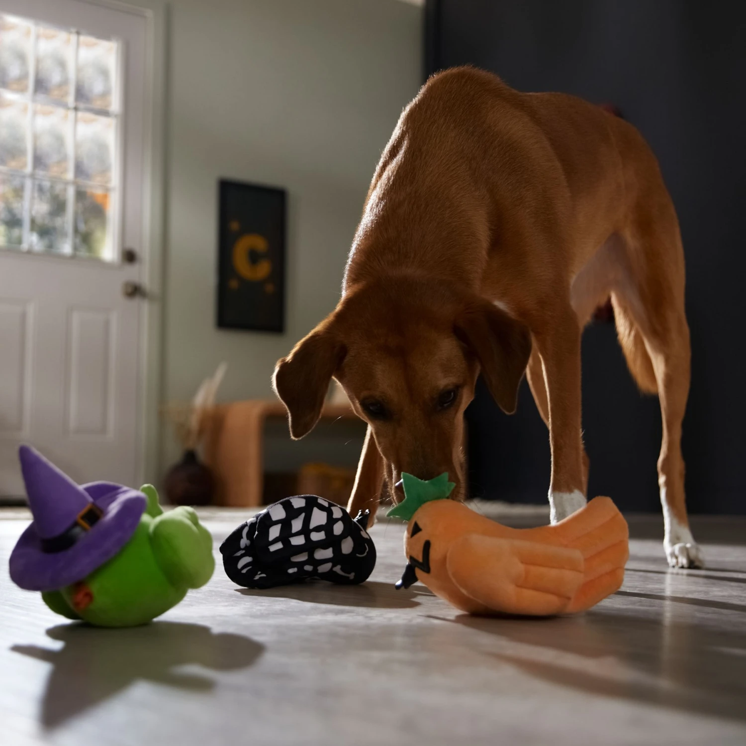 Frisco Halloween Birds Plush Squeaky Dog Toy - Image 3