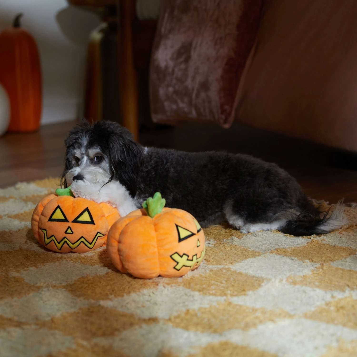 Frisco Halloween Scary Jack-O-Lantern Plush Squeaky Dog Toy - Image 3