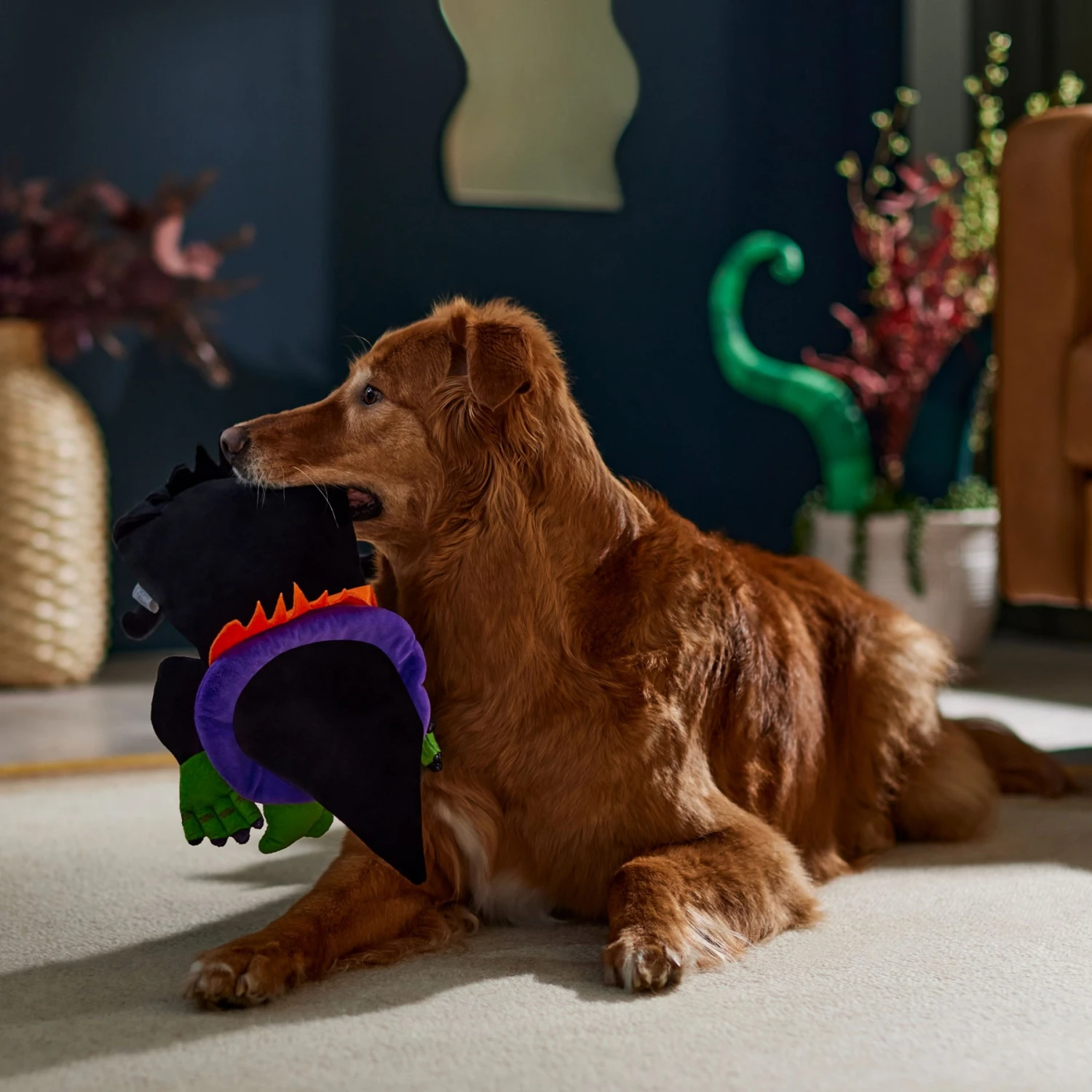 Frisco Halloween Witch Flat Plush Squeaky Dog Toy - Image 3