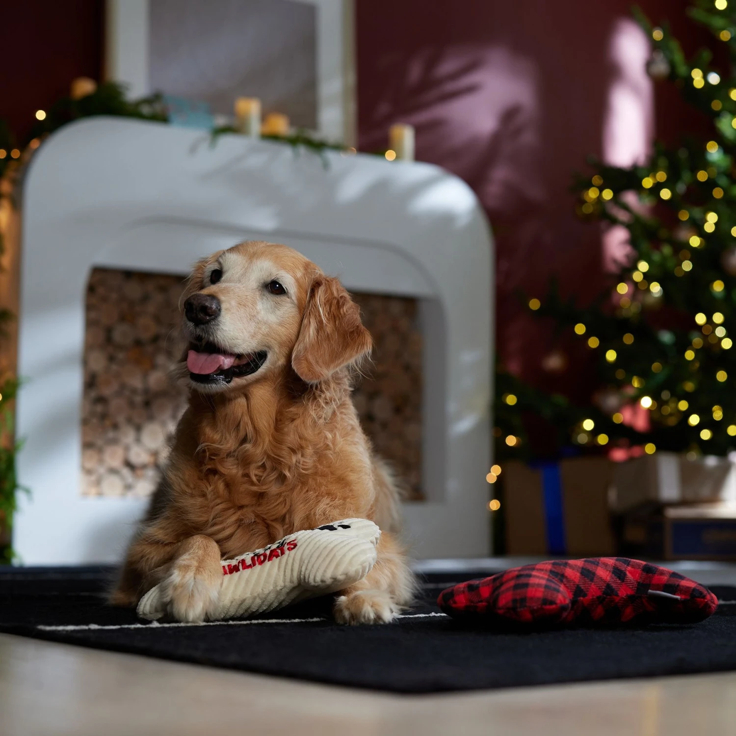 Frisco Holiday "Happy Pawlidays" Bone Plush Squeaky Dog Toy, Medium, 2 Count - Image 3