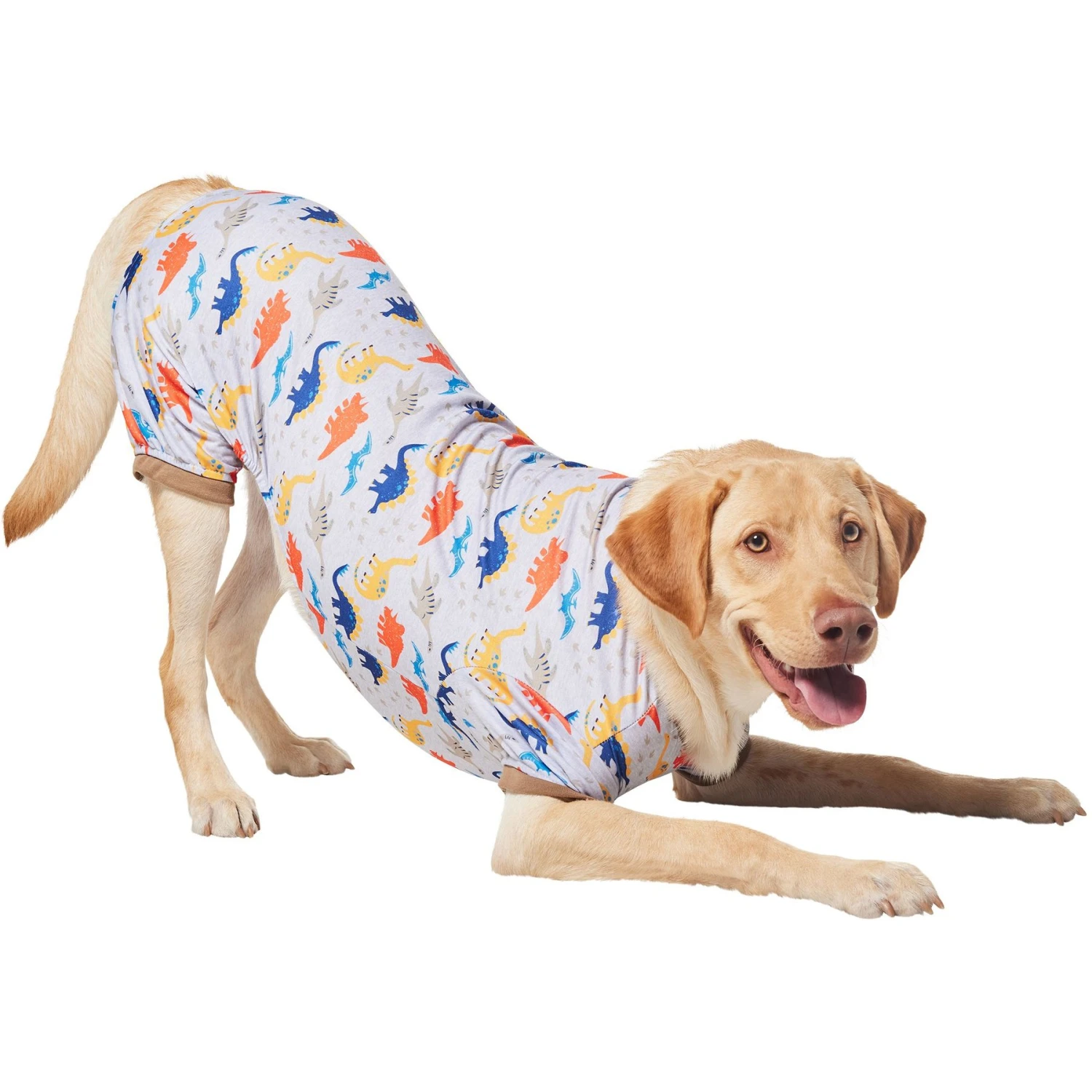 Frisco Dinosaur Dog & Cat Jersey PJs - Image 3