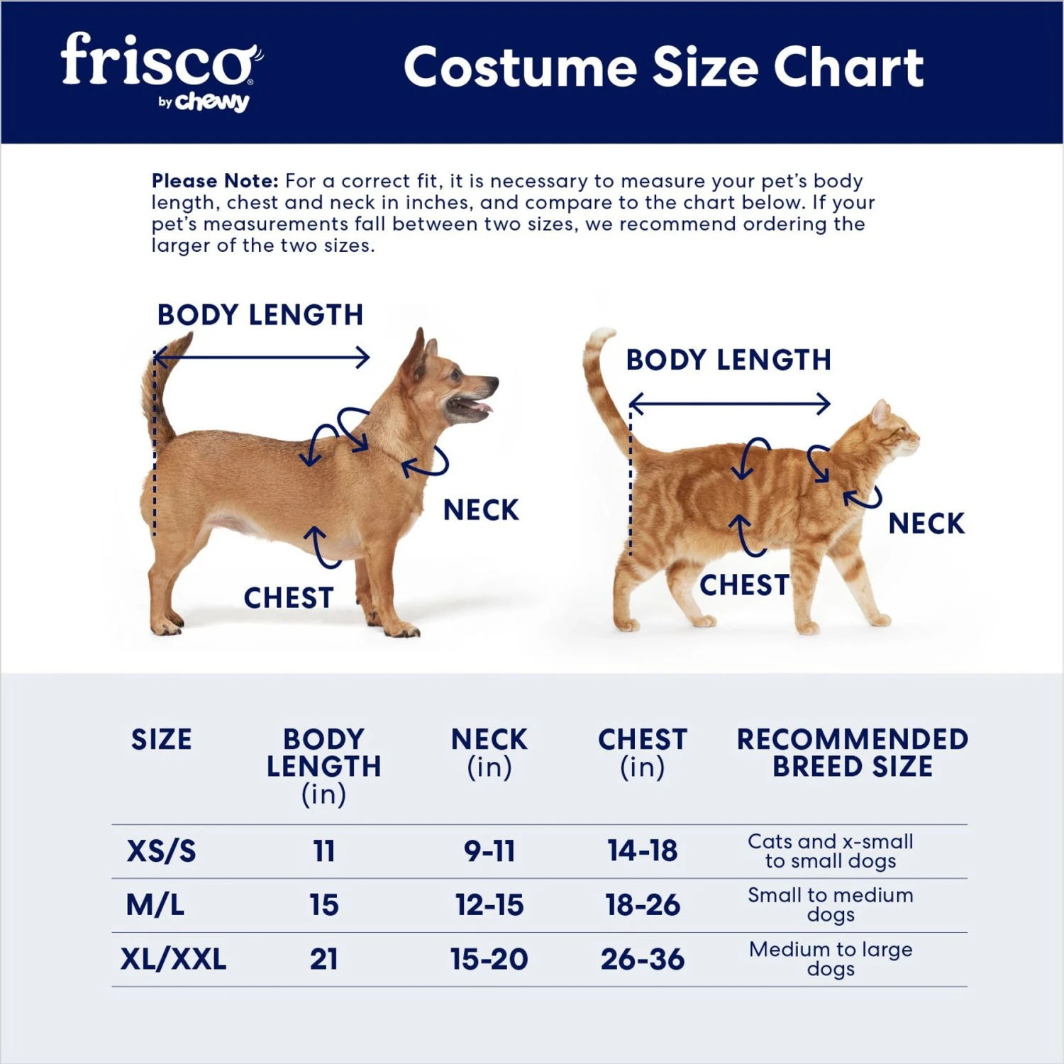Frisco Dragon Dog & Cat Costume Accessory - Image 2