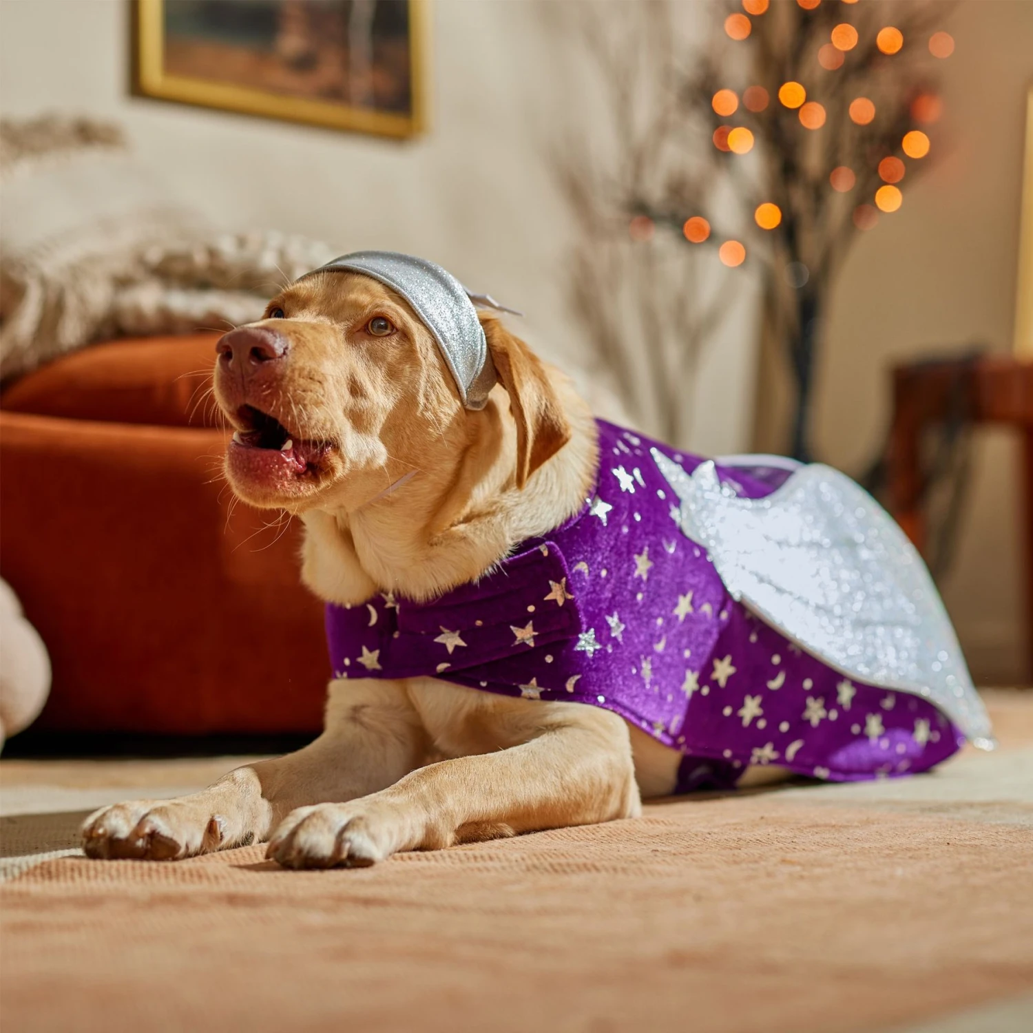 Frisco Shooting Stars Dog & Cat Costume - Image 7