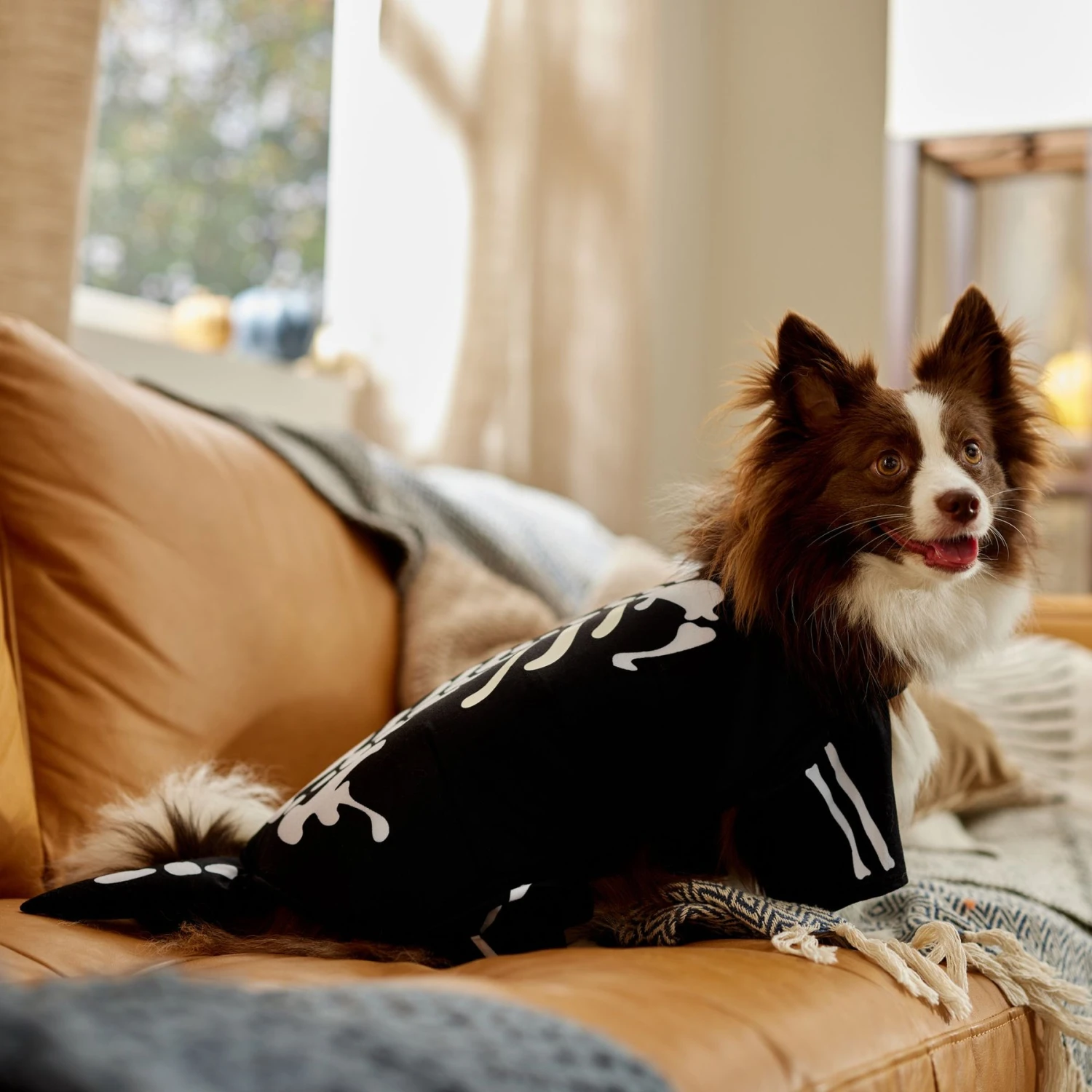 Frisco Glow In The Dark Skeleton Dog & Cat Costume - Image 7