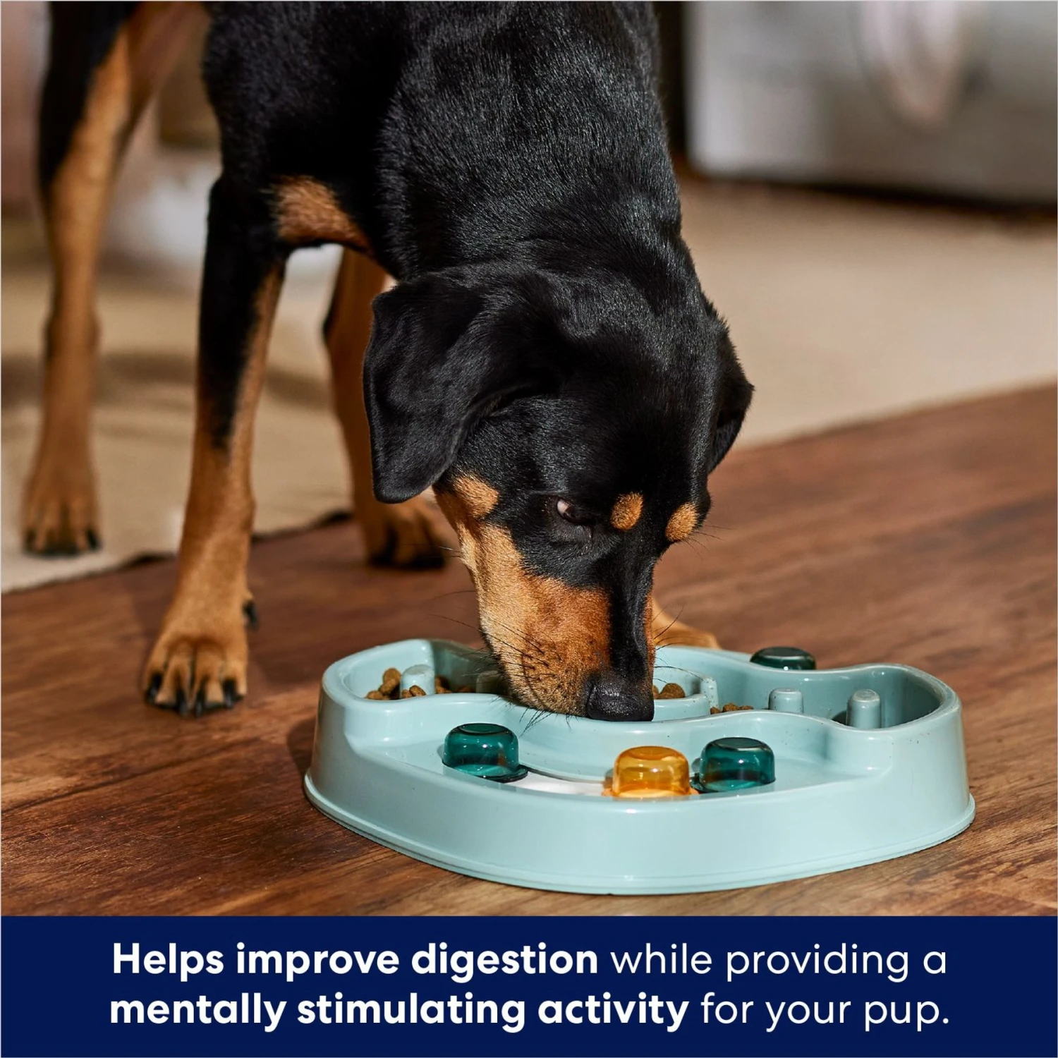 Frisco Interactive Dog & Cat Slow Feeder Bowl - Image 3