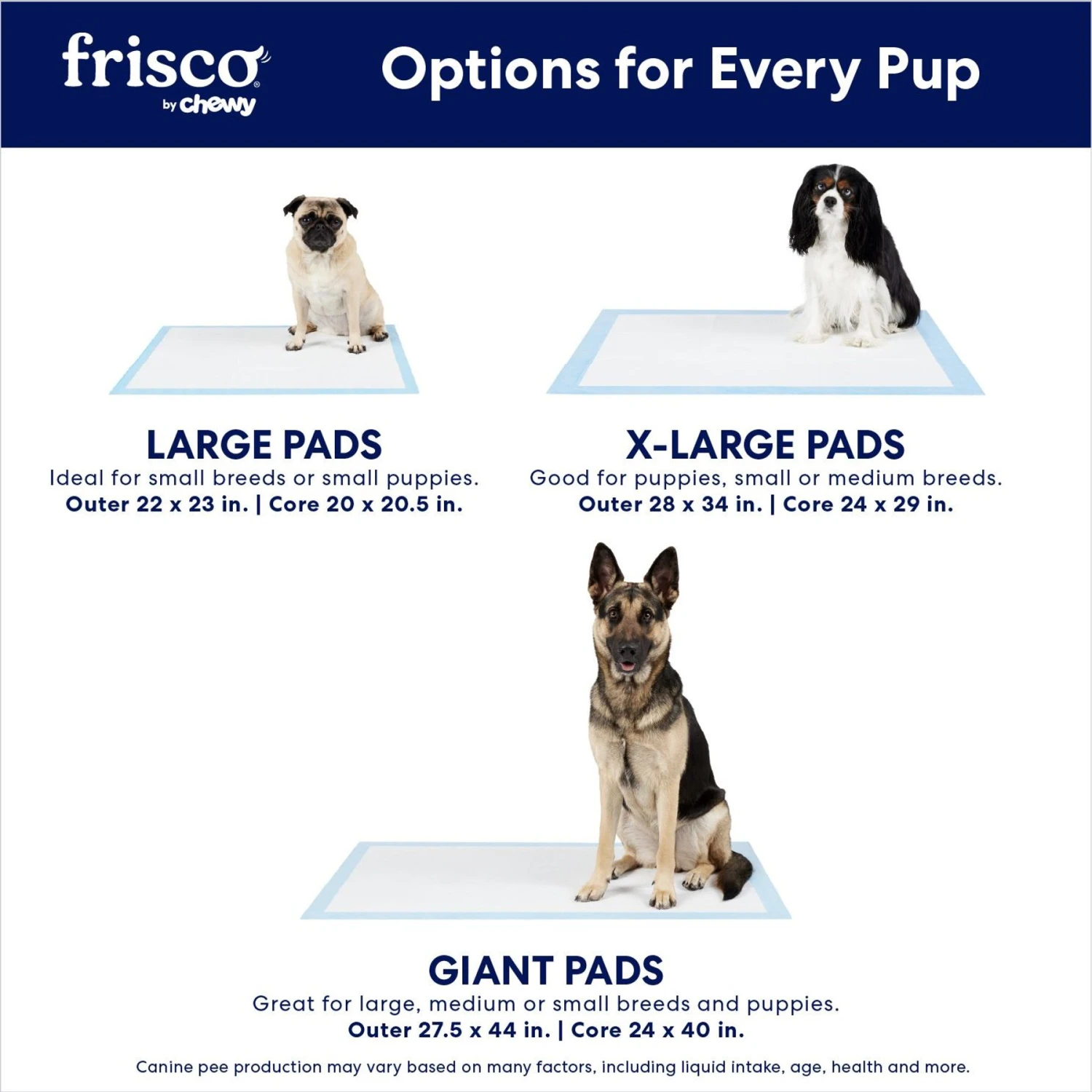 Frisco Premium Dog Training & Potty Pads - Image 4