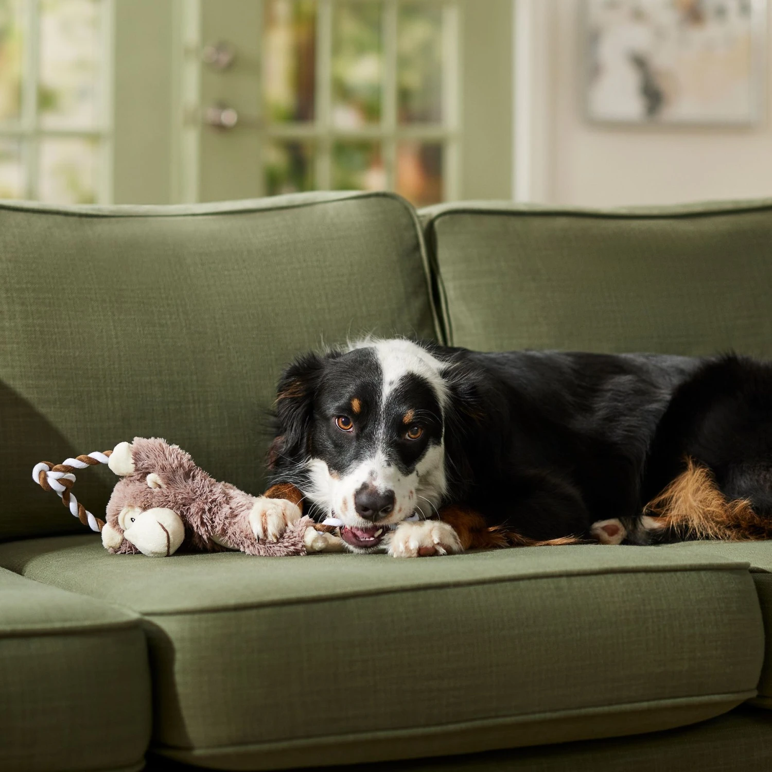 Frisco Monkey Plush With Rope Squeaky Dog Toy & Frisco Cow Plush With Inside Rope Squeaky Dog Toy - Image 5